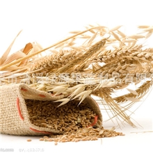 散粉-优质啤酒酵母粉，食品级，200目，保健品原料，促进新陈代谢