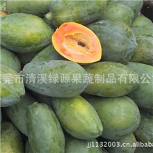 散粉-青木瓜粉，美容、纤体、事业线开始新的人生，支持小额订货