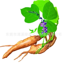 散粉-葛根粉解酒、养颜养生粉、粗粮粉、杂粮粉，支持小额批发