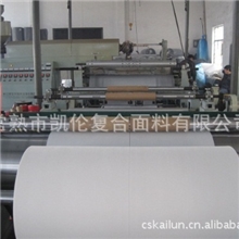 厂家生产供应塑料编织布卷聚丙烯编织布