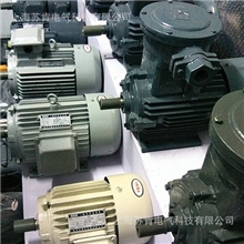 【厂家直销】YVF系列变频调速电机YVF-250M-4