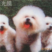 美林供应-冷裱保护膜系列产品2801高透亮膜相之宝护之宝