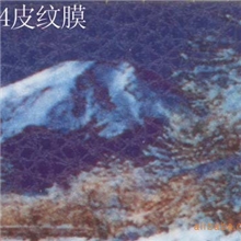 厂家供应-相之宝冷裱保护膜系列产品2804皮纹膜