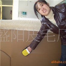 620价格风暴盛阳公司拓展的经济实用型家居汽车清洁用品