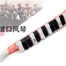 【厂家直销供应】13键口风琴黑白键琴十三键口风琴批发81008