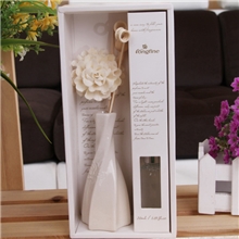 节日孝敬长辈礼品赠品朗芬无火香薰厂家精油套装陶瓷瓶康乃馨花