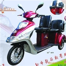 最新金利行电动双人休闲纯电动豪华电动车精品