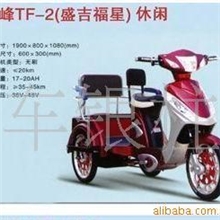 各类电动车新款推出（盛吉福星）外型美观实用电动拉客三轮车