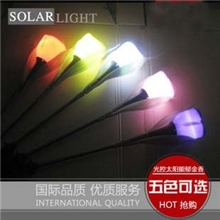 MD9559太阳能花园灯草坪灯太阳能郁金香LED小夜灯