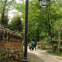 厂家直销优质精品定制户外庭院灯YX-02031