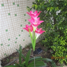 供应太阳能防真花、太阳能百合花灯、太阳能七彩灯、草坪灯花园灯