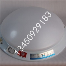 新国标消防应急灯声光控应急灯LED吸顶式应急照明灯欢迎购买