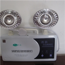 东莞市LED应急灯消防应急灯新国标应急灯安全出口指示灯