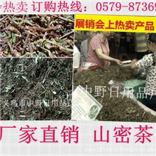 云南长寿草长寿茶山密草山密茶山蜜草山蜜茶天下第一凉茶