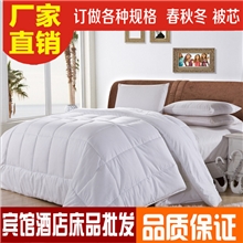 【优质】宾馆酒店床上用品被芯春秋冬被子嵌钱单针工艺可定制