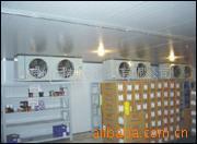 供应大型蔬果保鲜冷库安装、百香果、菠萝蜜、乌饭子、番荔枝、、