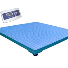 供应：电子地磅，电子打印磅