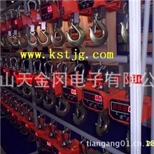 供应蓝箭吊秤，苏州3吨吊钩秤