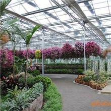 供应花卉展览玻璃温室