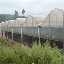 供应苗木温室大棚