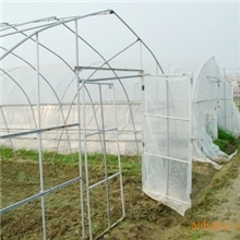 供应钢管蔬菜大棚