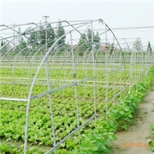 供应简易蔬菜大棚