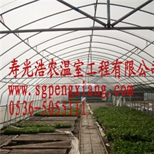 厂家专业生产温室、济南大棚、蔬菜大棚建设质优价廉欢迎选购