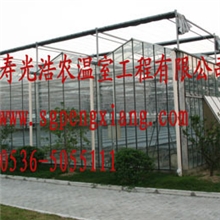 厂家专业生产温室、养殖大棚、蔬菜大棚建设质优价廉欢迎选购