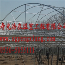 厂家专业生产温室、养猪大棚、蔬菜大棚建设质优价廉欢迎选购
