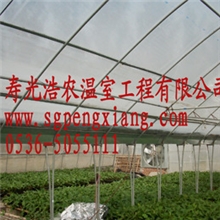 厂家专业生产温室、莱州大棚、蔬菜大棚建设质优价廉欢迎选购
