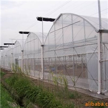供应GLP-832型连栋温室大棚