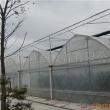 勤农温室公司供应8430-型连栋温室、玻璃温室