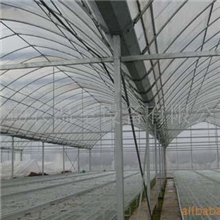 供应832-型连栋温室