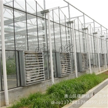 专业生产供应优质玻璃温室连体大棚