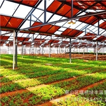 全国特价销售农业光伏温室大棚光伏板玻璃温室连体大棚