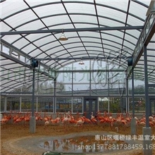 厂价直销优质品牌养殖大棚水产养殖棚养鸡养殖棚珍禽养殖棚