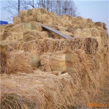 专业供应优质打包稻草