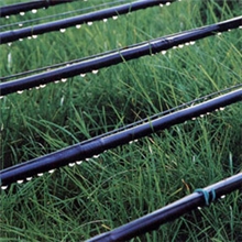 供应喷灌工具喷灌设备