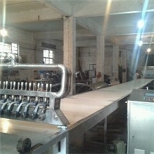 棉花糖（10头挤出）生产线