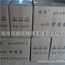 济南特源批发野鸡蛋山鸡蛋厂家直销量大优惠山鸡蛋