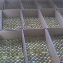 特源批发无公害营养山鸡蛋山鸡蛋