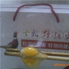 山鸡蛋礼品批发商山东济南特源养殖合作社价格随行就市