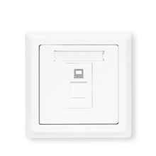 【ABB插座】德逸系列/白色/一位八芯电脑插座AE331;10072413