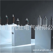 上海法兰克高压并联电力电容BFM11-200-3W