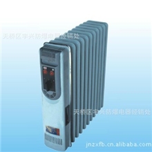 BDN58系列防爆电热油汀1500W--2000W