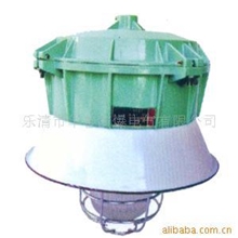 供应增安型防爆防腐灯防爆电器华普防爆