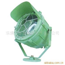供应防爆投光灯