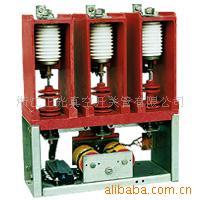 供CKG4型交流高压真空接触器、品质一流、专业生产