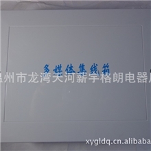 20&times;30塑料豪华型电视电话分线箱,电话端子接线箱，多媒体集线箱