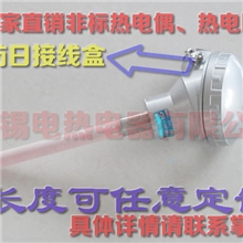 刚玉防日/接线盒式/PT100传感器/热电偶/热电阻/温度传感器/WZP